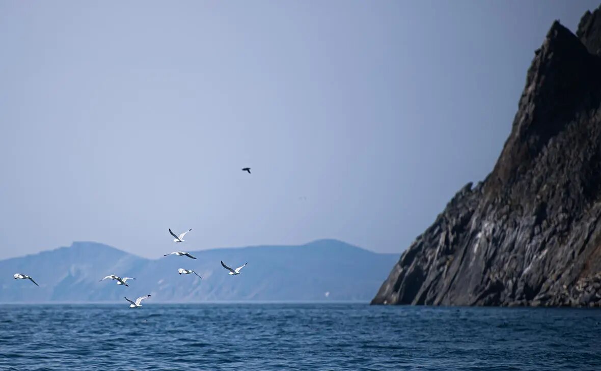    Мыс Дежнева Фото: Владимир Астапкович / РИА Новости Оливия Ильинская