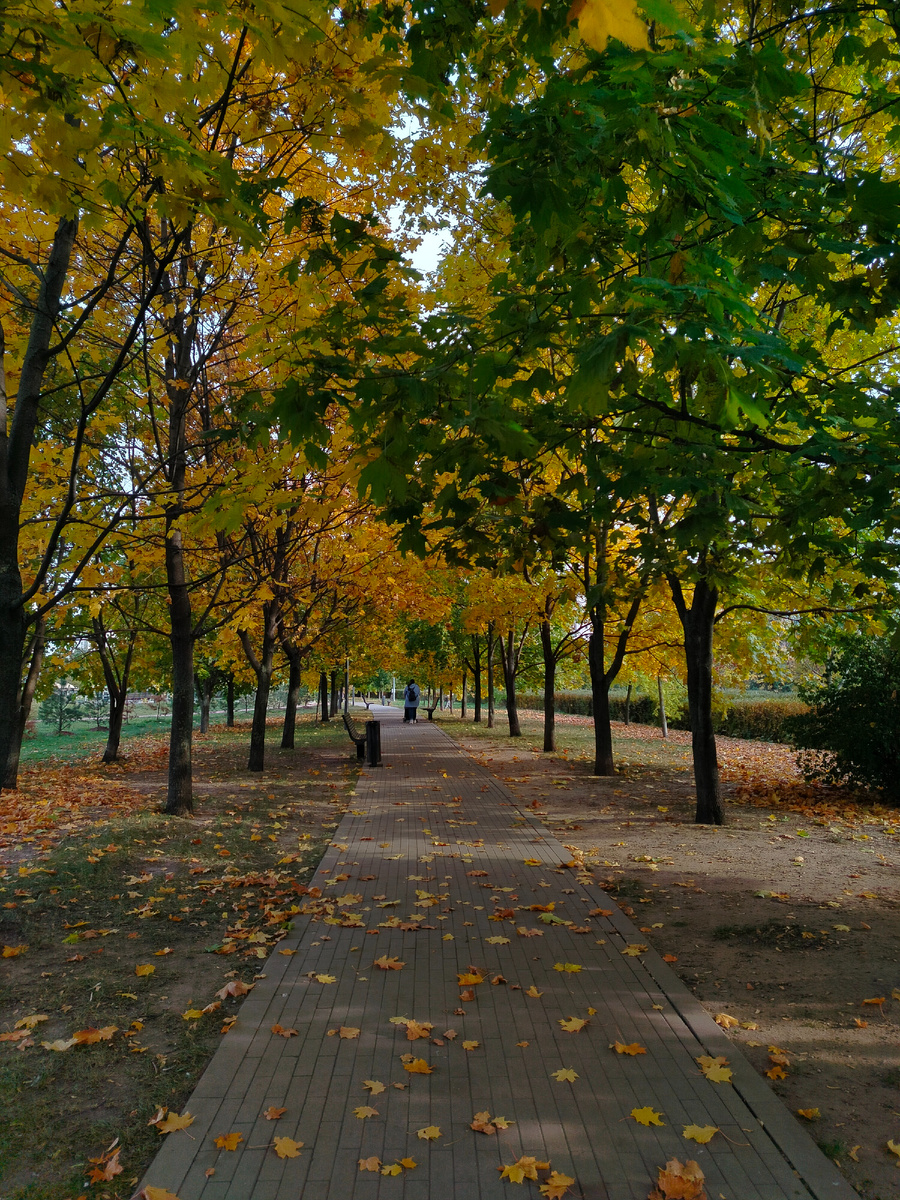 Парк две недели назад