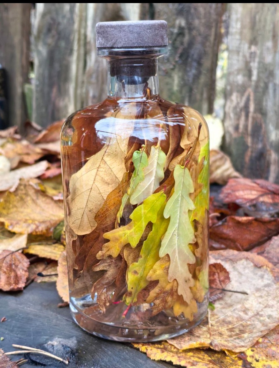 Уксус с листьями дуба