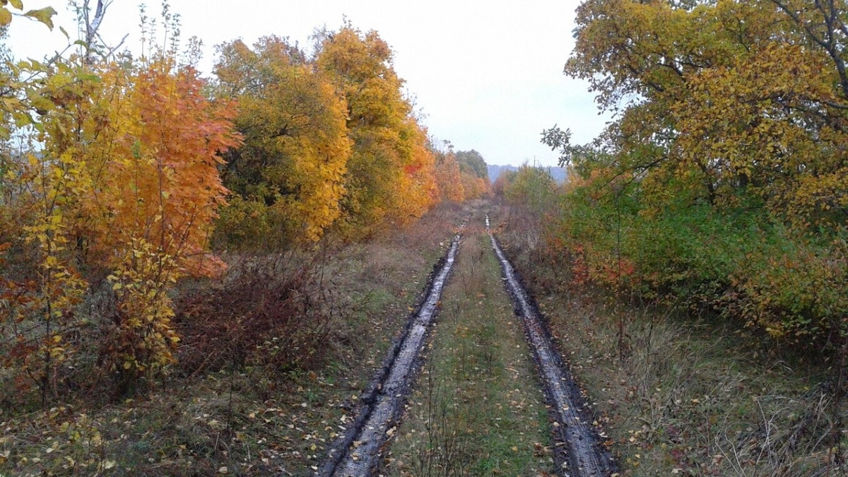    На развитие саратовских сел направят 116 млн по федеральной программеНовости Саратова и области – Сетевое издание «Репортер64»