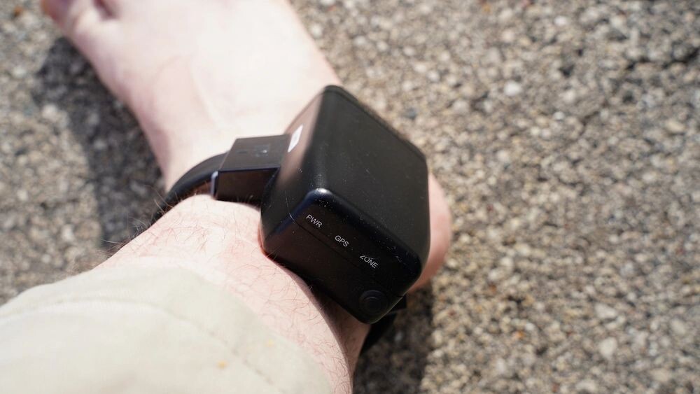    Фото: Aaron of L.A. Photography/Shutterstock/Fotodom