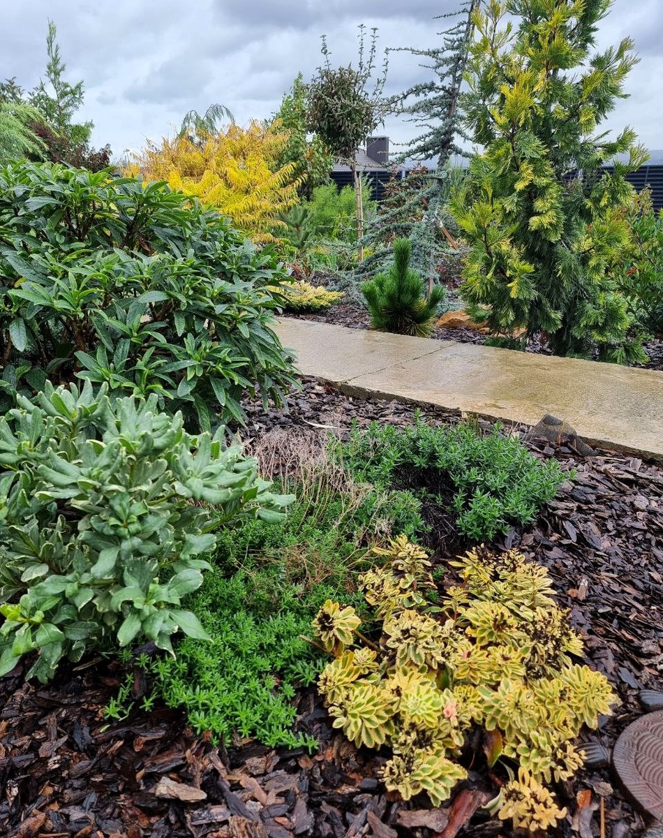 Слева от тропинки уже знакомые жители сада из предудущего обзора (Часть 1).