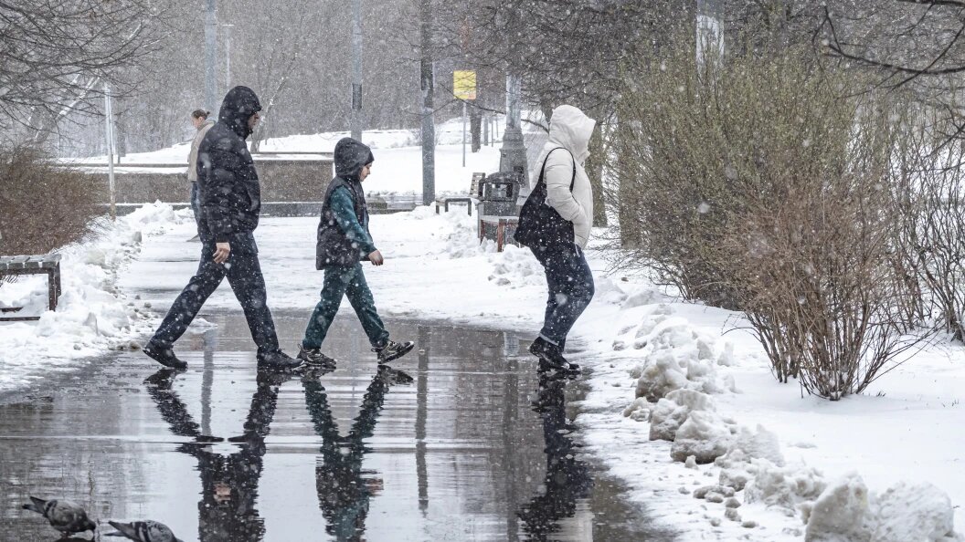    Фото: Konstantin Kokoshkin/Global Look Press