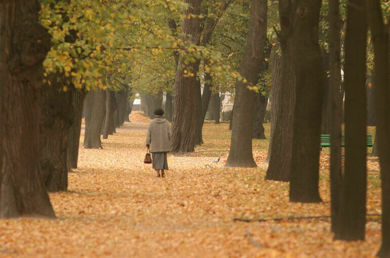   Юрий Инякин/«Парламентская газета»