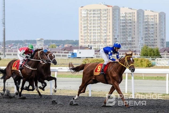   Олег Тихонов / realnoevremya.ru