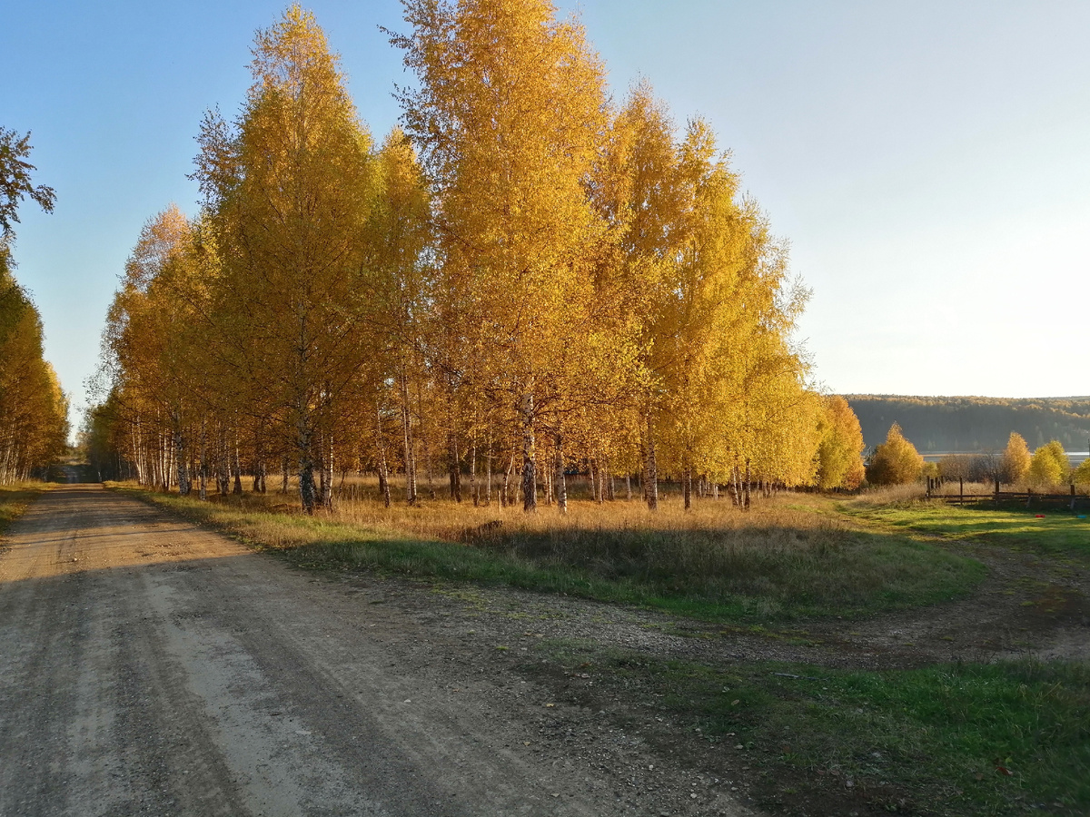 Фото с нашей дачи