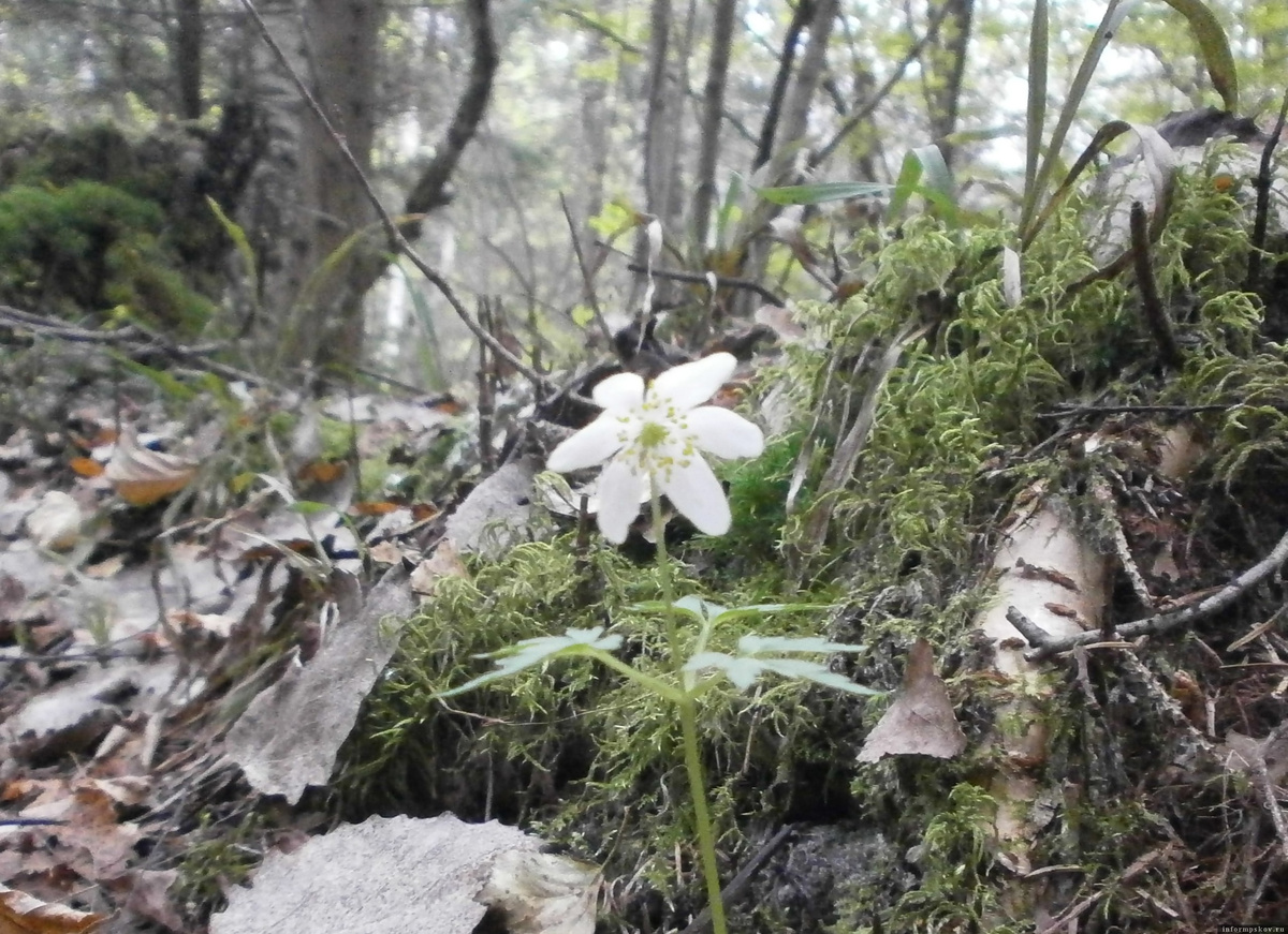 Фото здесь и далее: Владимир Фролов