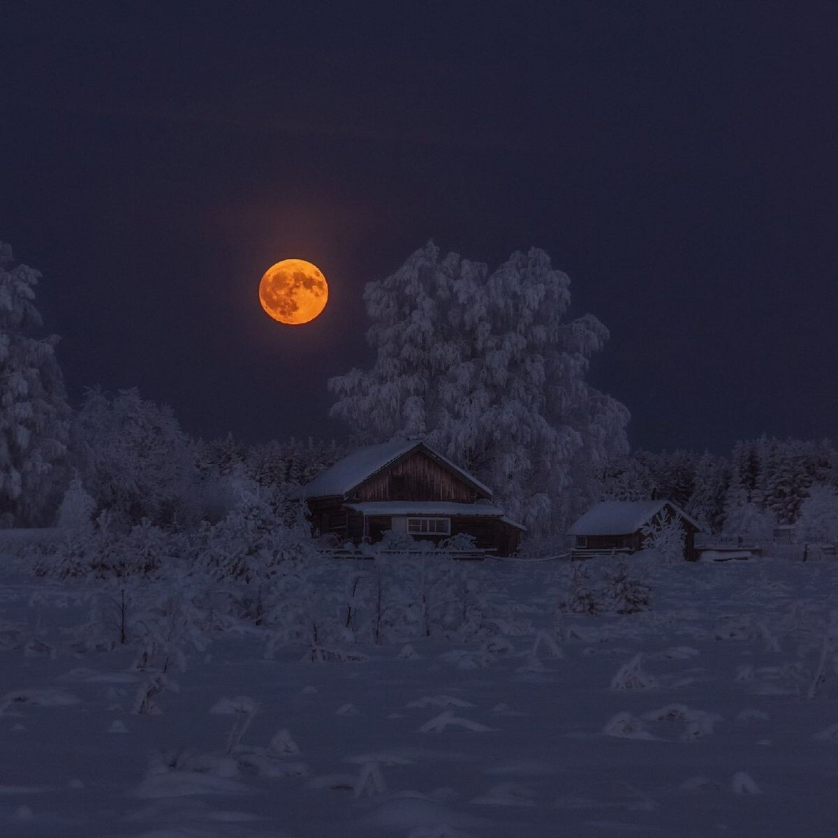 Сибирская деревня зимней ночью. Фото из сети. 