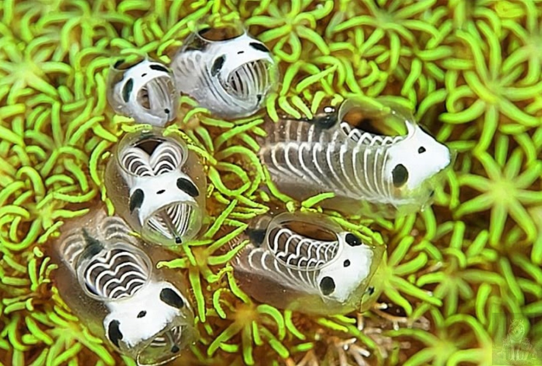 Это все мы когда проснулись в 5 утра