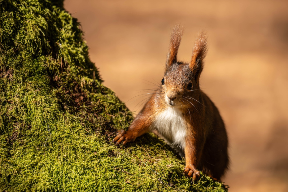    Silas Stein/dpa/Global Look Press