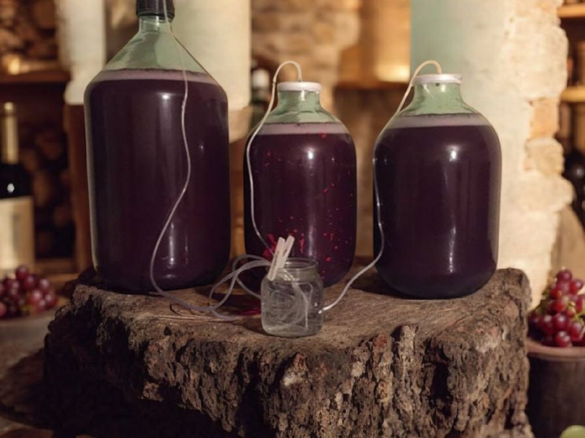 Рецепт домашнего вина из винограда