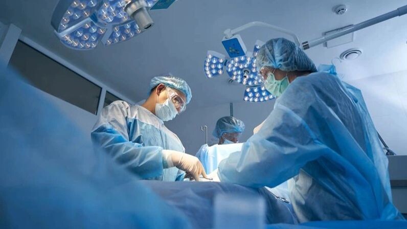    Фото: Svitlana Hulko / Shutterstock / Fotodom