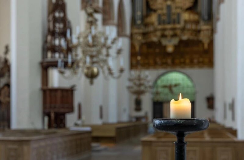      Фото: @pvproductions / ru.freepik.com