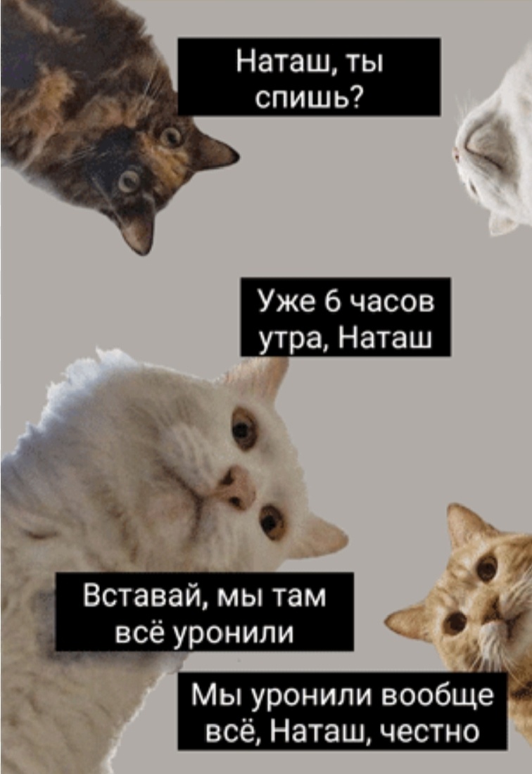 Из открытых источников