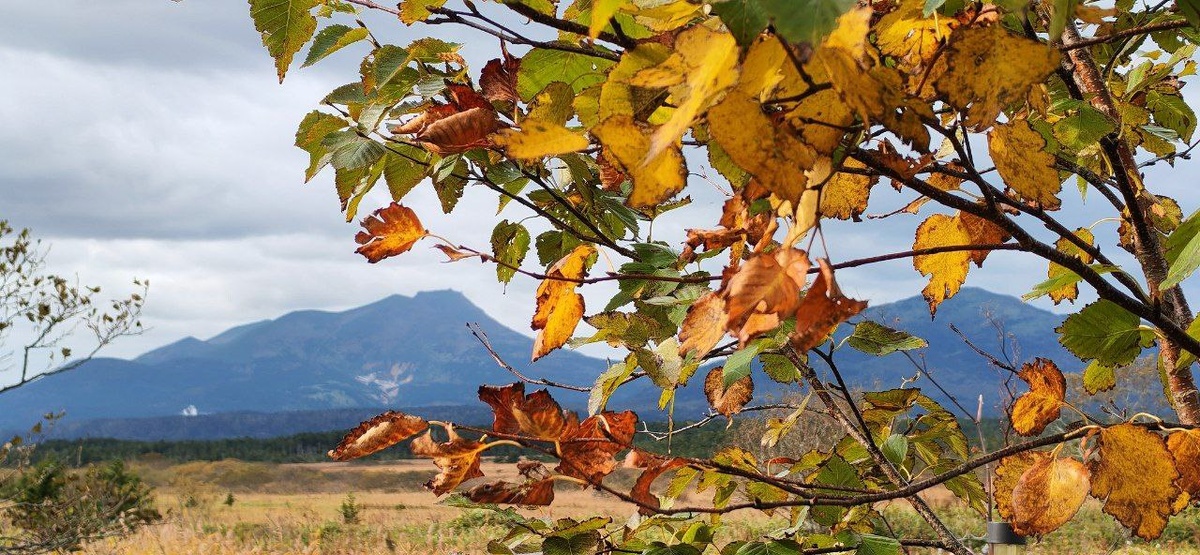 Золотая осень в "Серебряных болотах" — время творить. 
