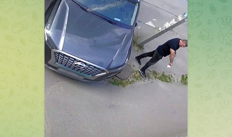 Фото: Telegram-канал "Многонационал"