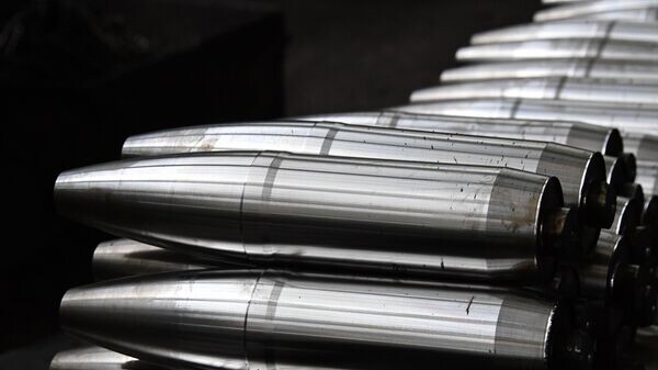    © РИА Новости . Михаил Воскресенский