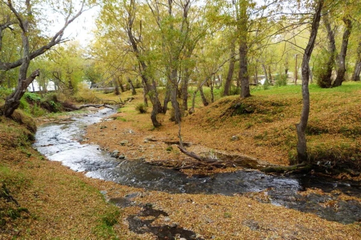    У берегов Камчатки за сутки зафиксировали 14 афтершоков