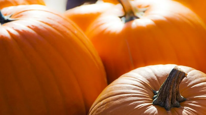 Первый закон хранения тыквы - и еще 2 хитрости: агрономы советуют. Как сохранить тыкву до лета, чтобы не загнивала, не сохла, не портилась