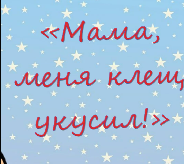 «Ночная охота на клеща: как паника и Гугл подарили мне урок финансовой грамотности»