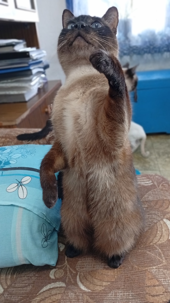 Фото из личного архива