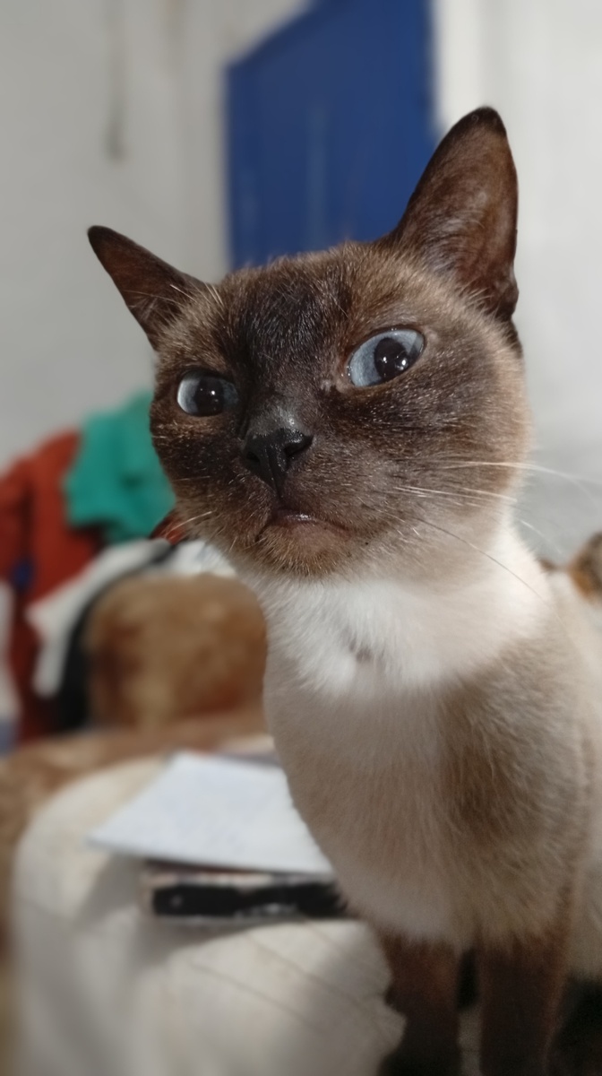 Фото из личного архива