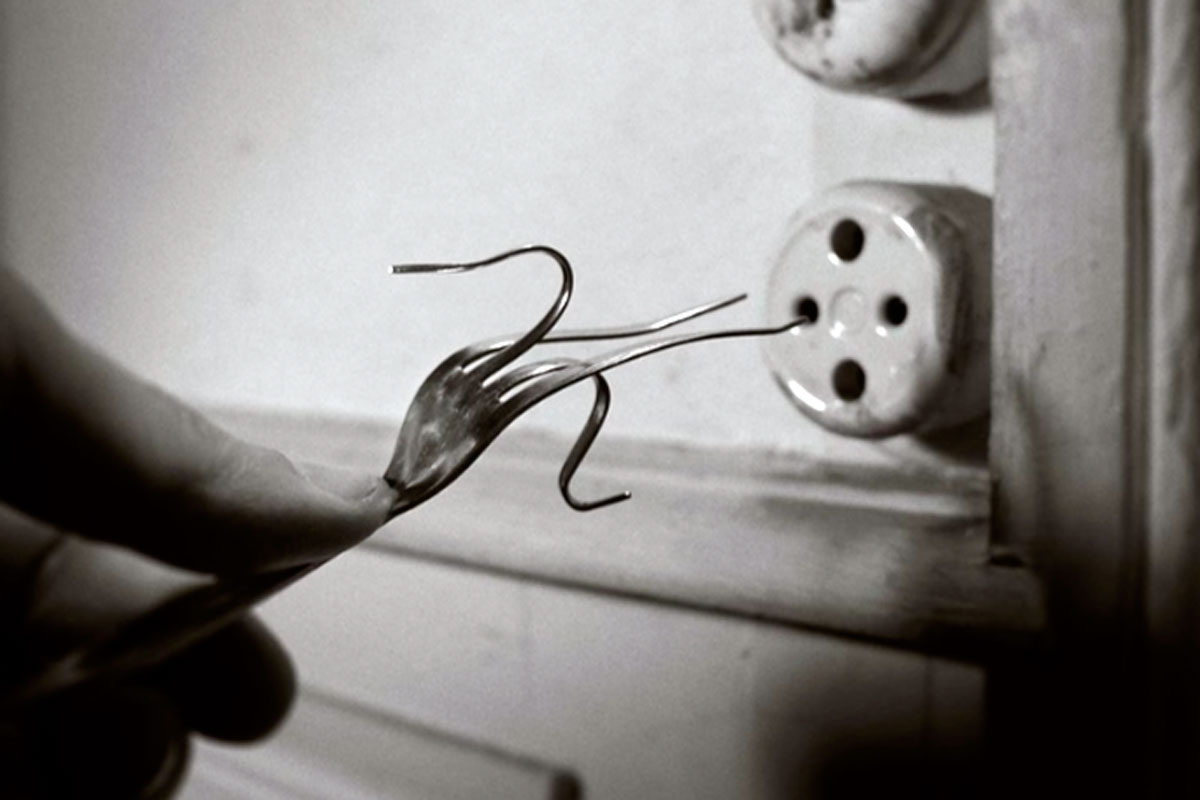 Мы, возможно, единственный вид, готовый умереть за идею