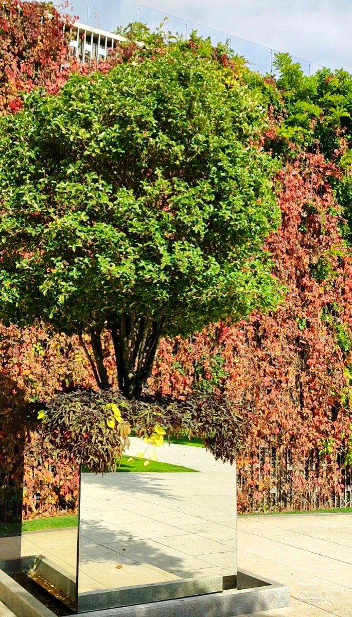 🌿🌸🌿🌸🌿🌸🌿