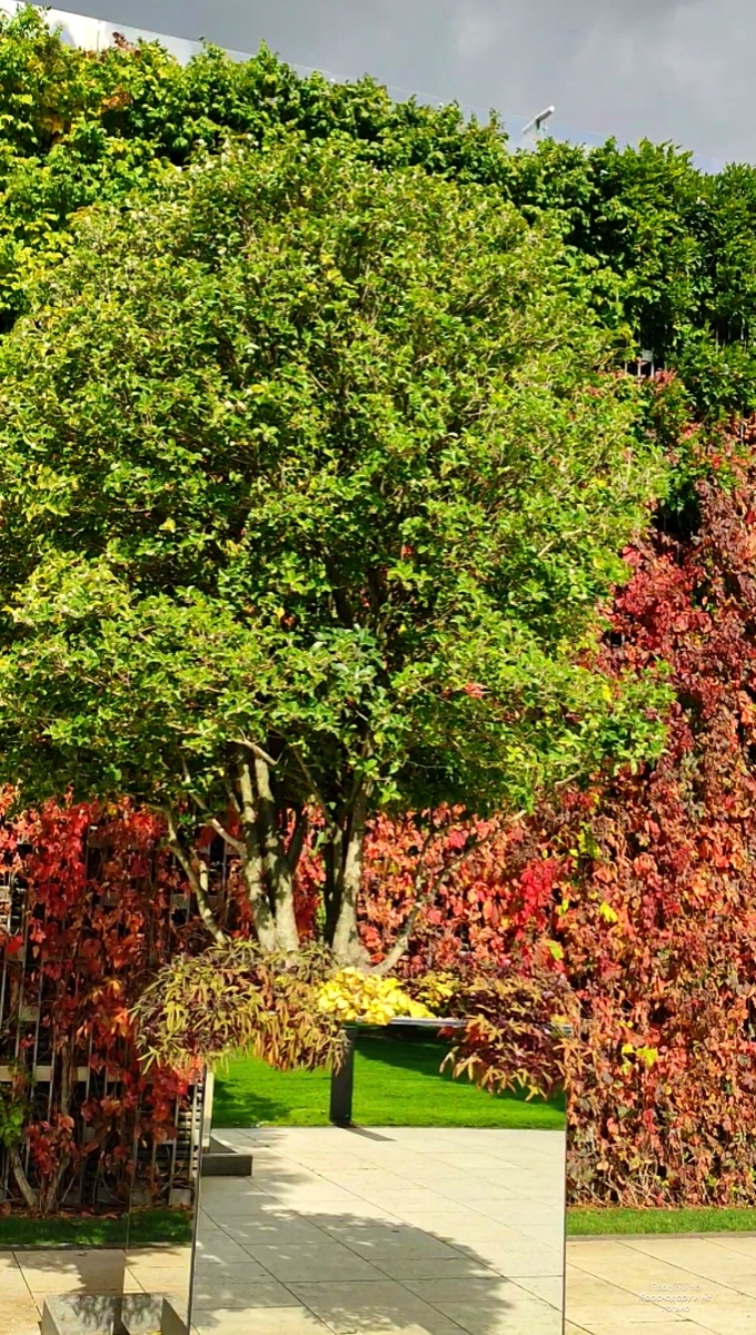 🌿🌸🌿🌸🌿🌸🌿