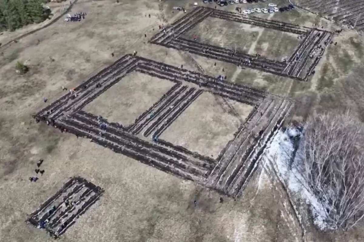    В Омской области геоглиф «ПОБЕДЕ – 80» показал 90% приживаемости