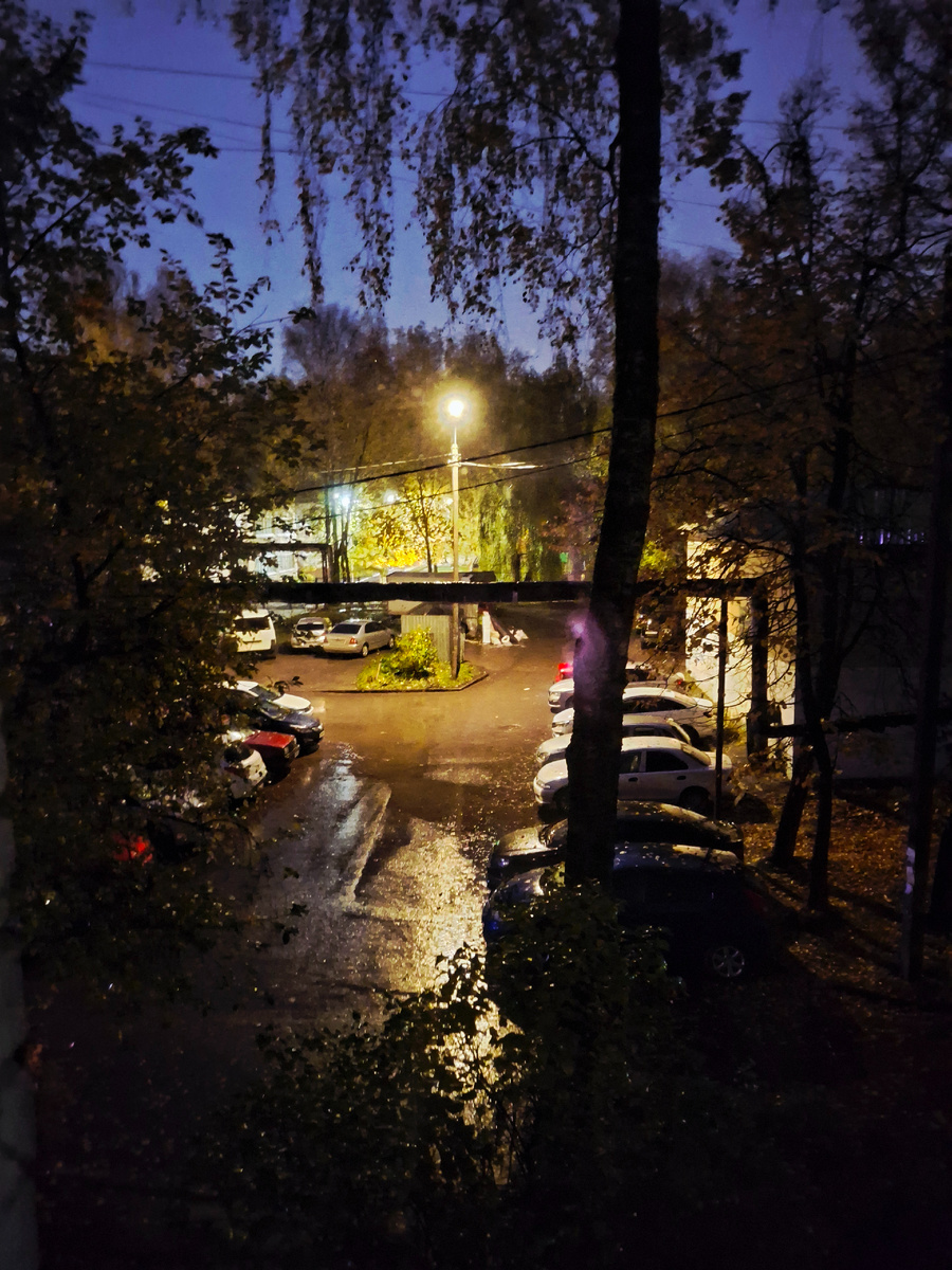 Фотография сделана автором