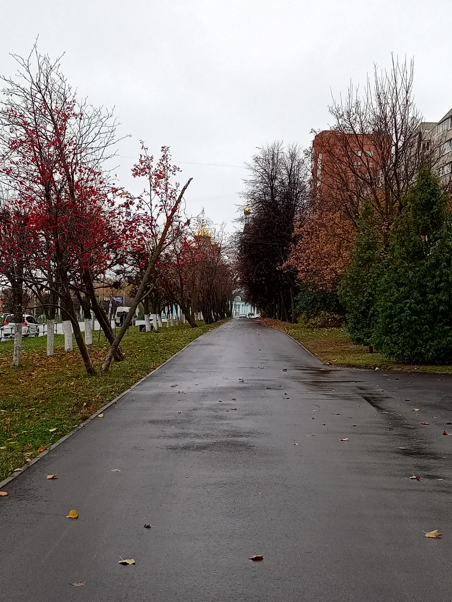 Вот так у нас