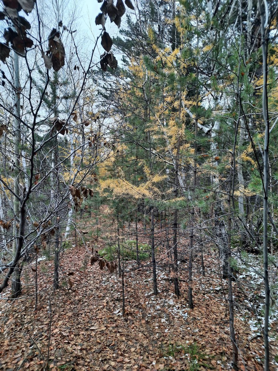 Фото автора.