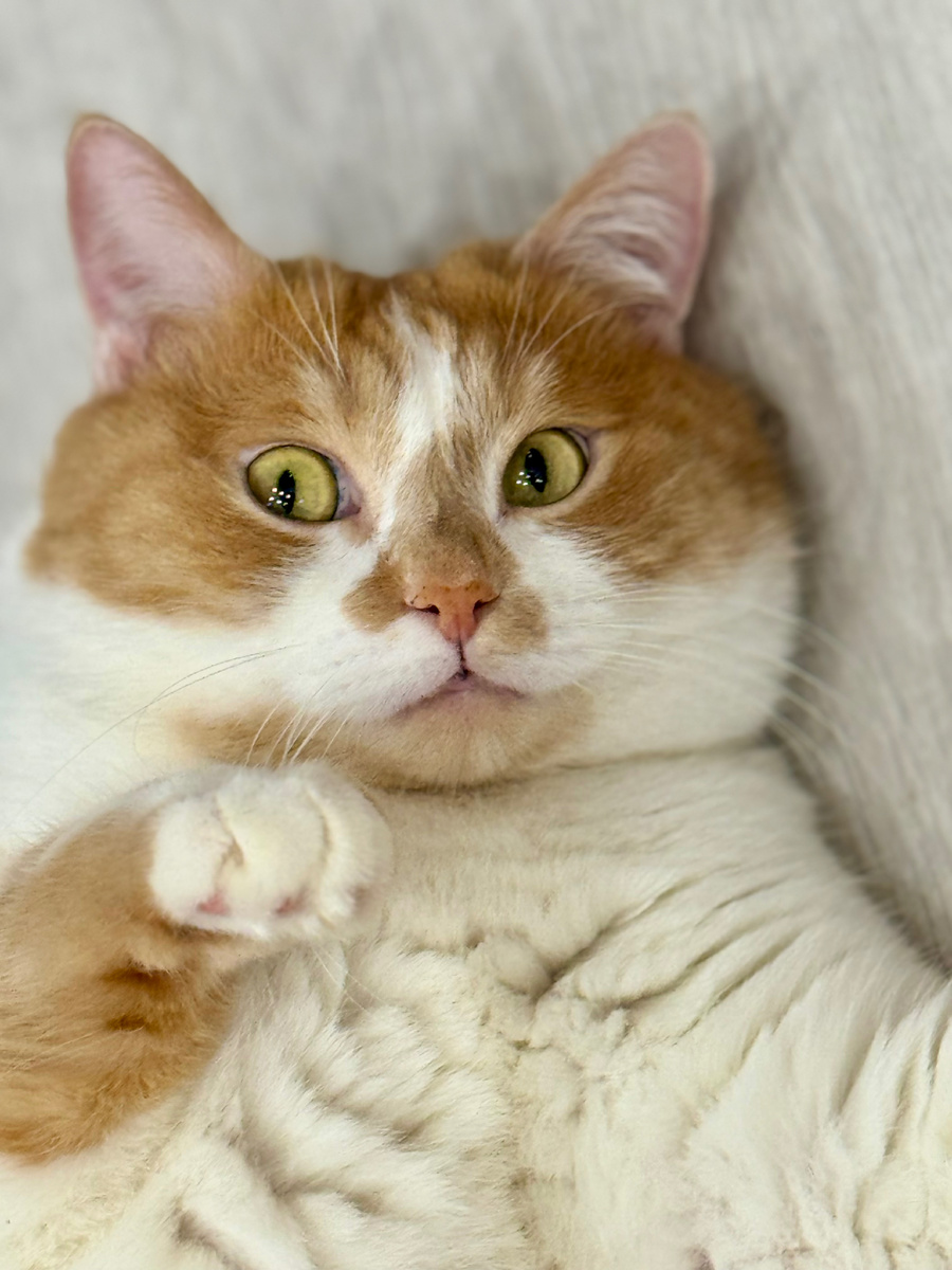 С Днем женского счастья!