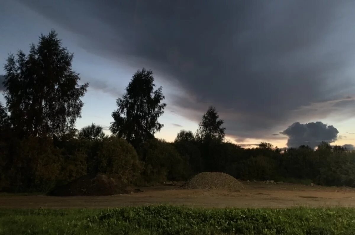    Посевы погибли из-за переувлажнения почвы.