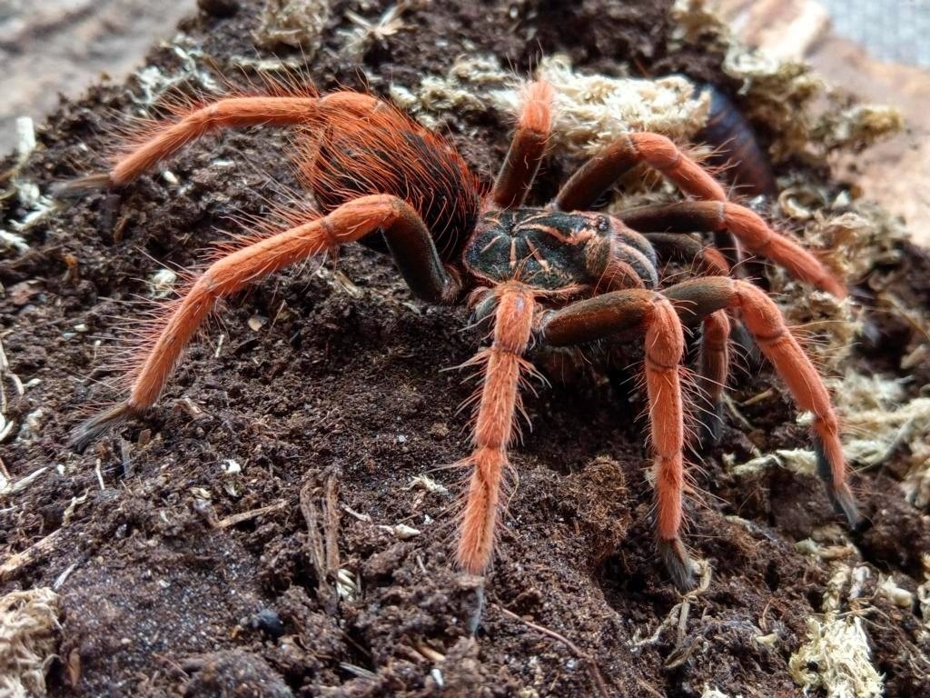 Фото из интернета 