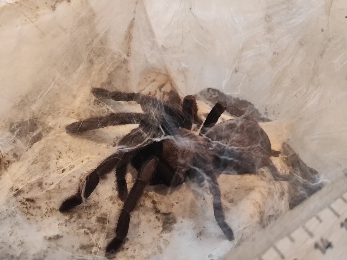 Фото из интернета 