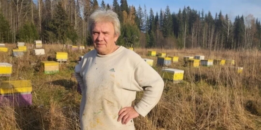 Один сосед — медведь. Бизнесмен свернул дело и поселился в пустой деревне