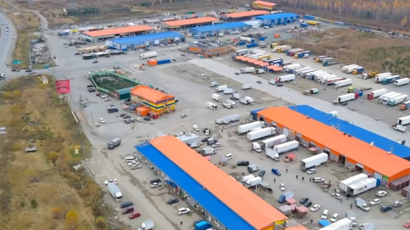    Фото: скрин видео ГУ МВД России по Челябинской области.