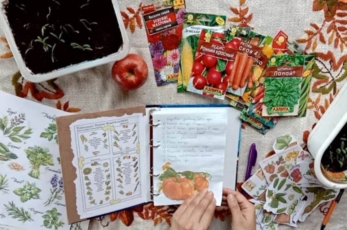    Записи помогут вырастить отменный урожай в будущем и не совершить ошибок.