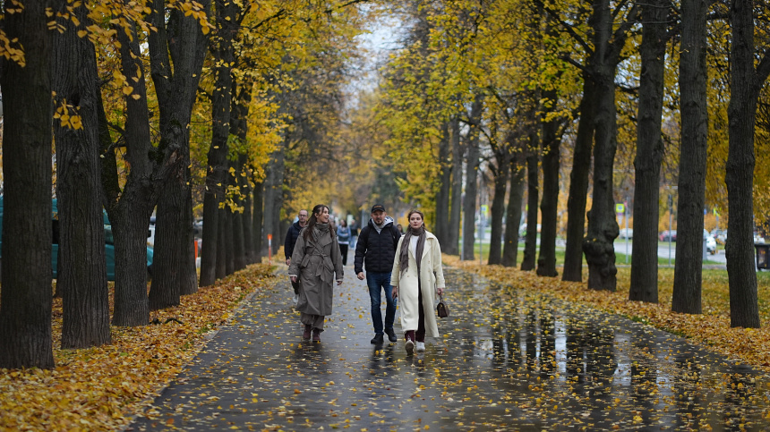   Фото: ИЗВЕСТИЯ/Павел Волков