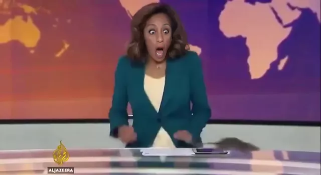 © Фото : скриншот видео