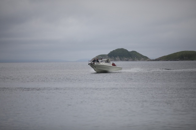    Фото: АиФ/ Александр Колегов
