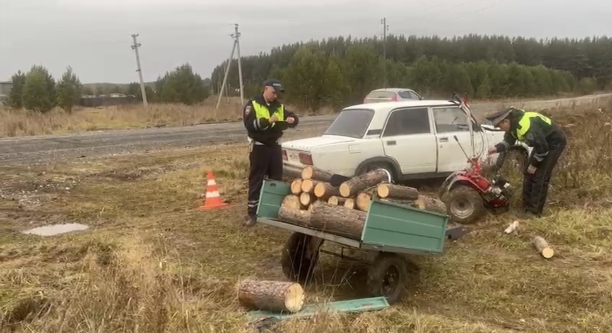 Фото: Госавтоинспекция Свердловской области  📷
