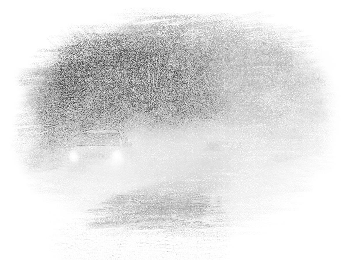 Пурга-Метелица