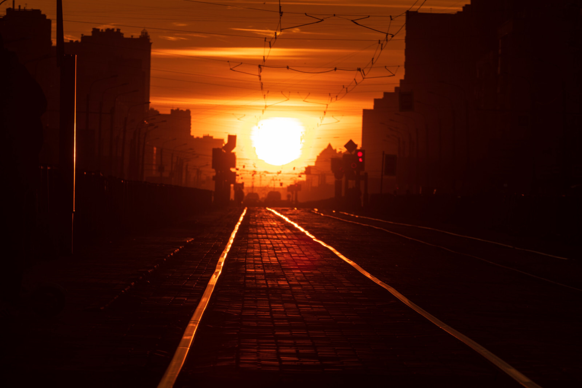 Роман Пименов/«Петербургский дневник»