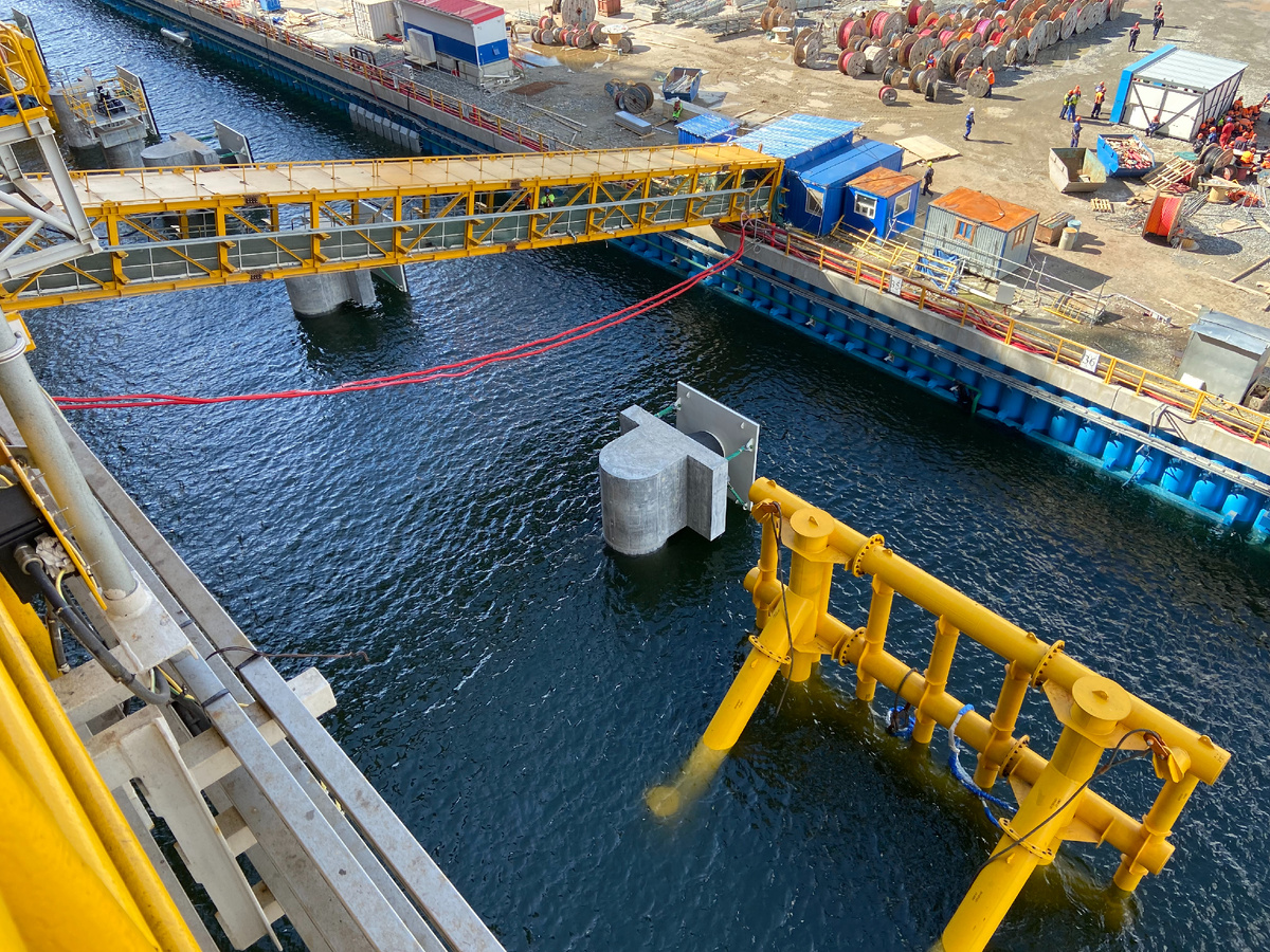 А теперь это - архивное фото. Фото из личного архива автора © 2024 год