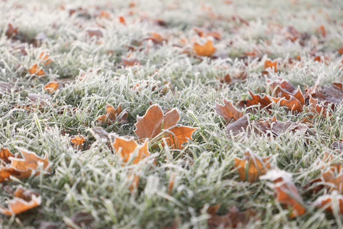 Фото: Александр Глуз