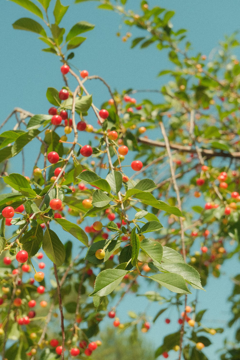 Фото из сети