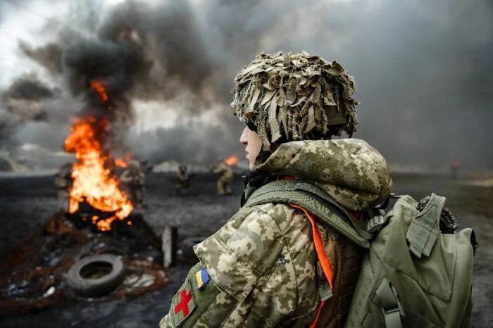 Обложка © Shutterstock / FOTODOM / Dmytro Larin